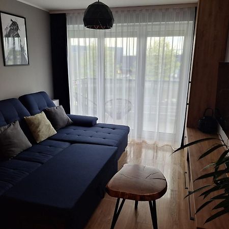 Komfortowy Apartament Dla 7 Osob Ch Arena, Prywatny Parking กลีวิตเซ ภายนอก รูปภาพ